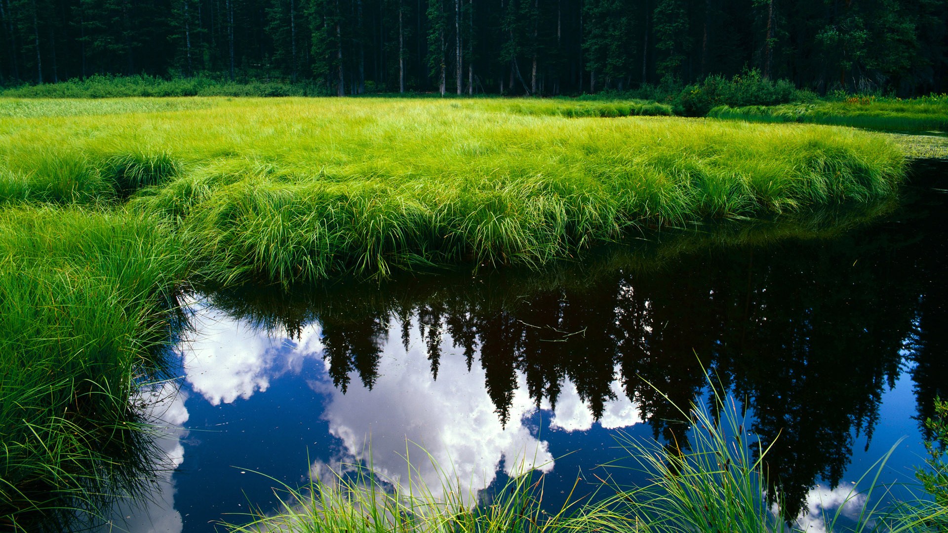 开云电竞在线-NBA裁判因误判引发热议，联盟发声明致歉，nba裁判报告公布
