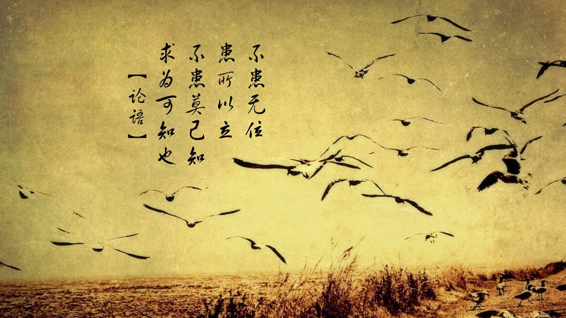 _篮网团队配合天衣无缝，稳占联盟龙头位置_，篮网阵容强大